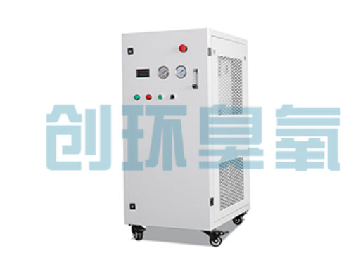 东方石斑鱼养殖水质调控完整指南：臭氧发生器配置与操作步骤