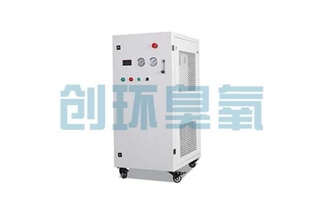 东方比传统换水更高效？臭氧发生器在石斑鱼养殖中的水质净化原理解析