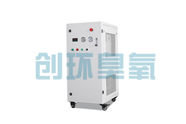 东方比传统换水更高效？臭氧发生器在石斑鱼养殖中的水质净化原理解析
